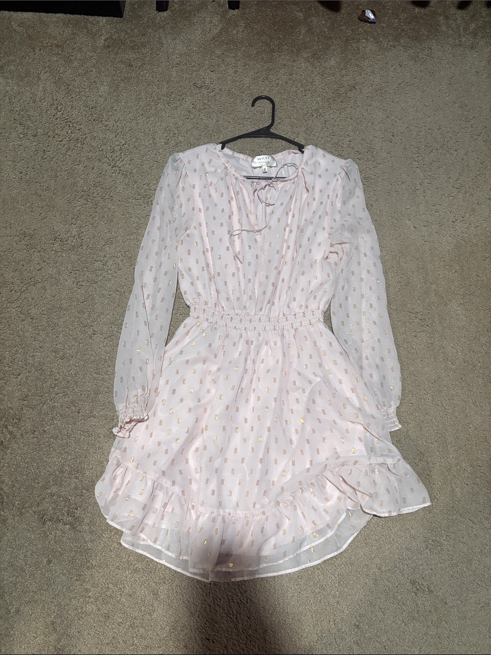 Wayf Dede x Emily Light Pink Long Sleeve Ruffle Hem Dress with Gold Dot Accents